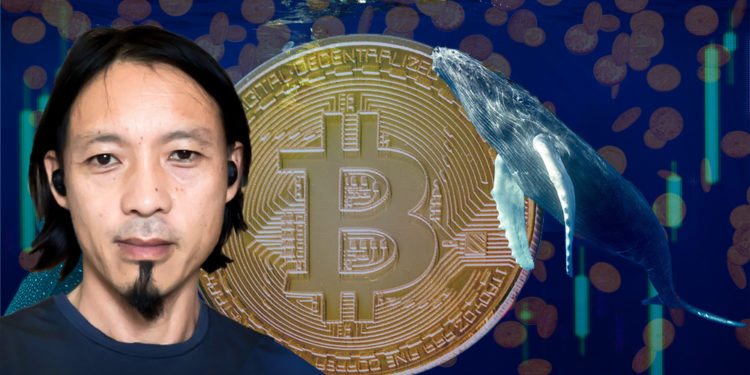 Willy Woo frente a moneda de bitcoin rodeada por ballenas con frágfico de mercado y monedas cayendo en el fondo. Composición por CrioptoNoticias. dibrova / elements.envato.com; jcomp / freepik.com; Unchained Podcast / unchainedpodcast.com; CriptoNoticias / criptonoticias.com.