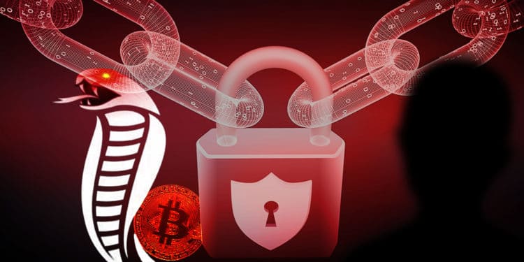 fondos usuarios bitcoin data