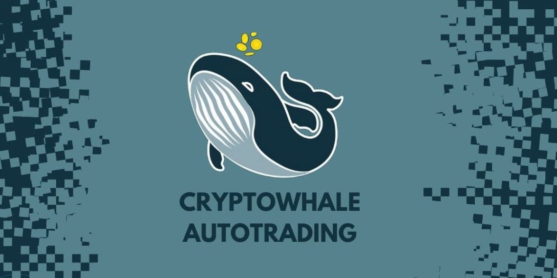 Canal de Telegram para autotrading de bitcoin