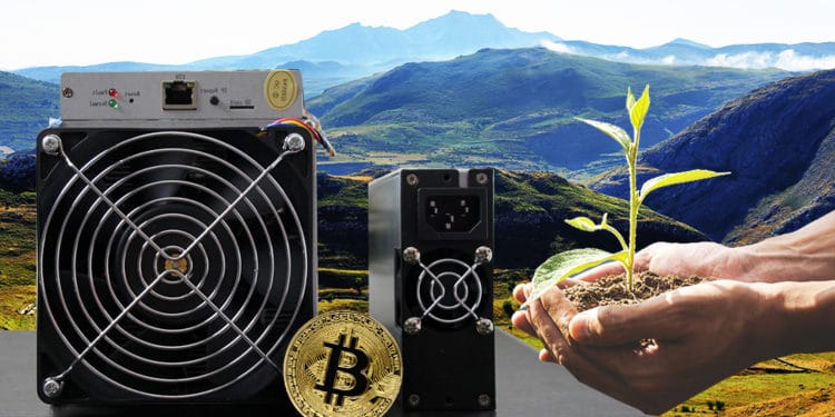 medio ambiente ecologia BTC