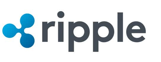 empresa creadora cripto ecosistema