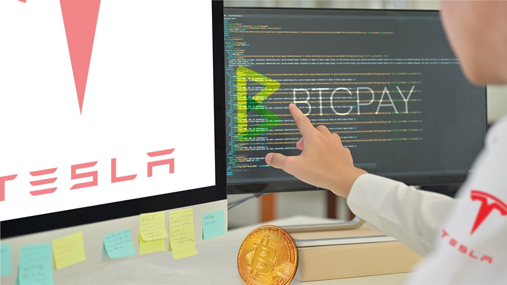 vulnerabilidades servidores pagos BTCPAY soluciones Tesla