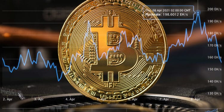 hash rate minería bitcoin