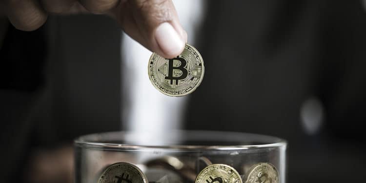 bitcoin Knots criptomoneda código