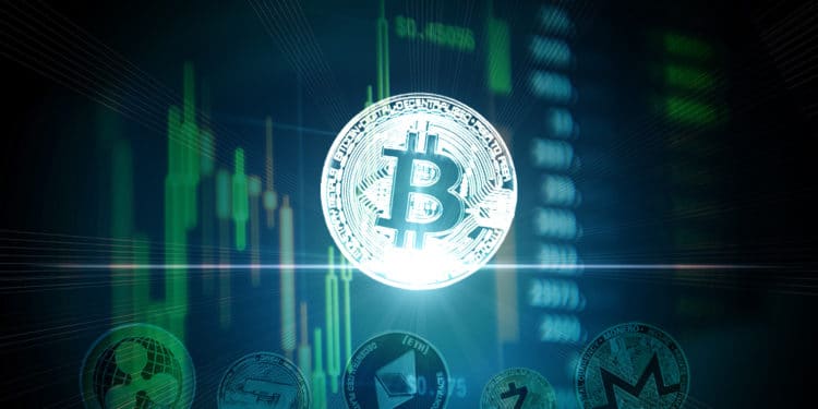 usabilidad crecimiento servicios-hardfork
