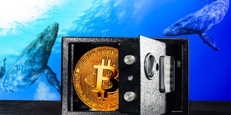 hodlres bitcoin acumulación criptomonedas direcciones poco balance