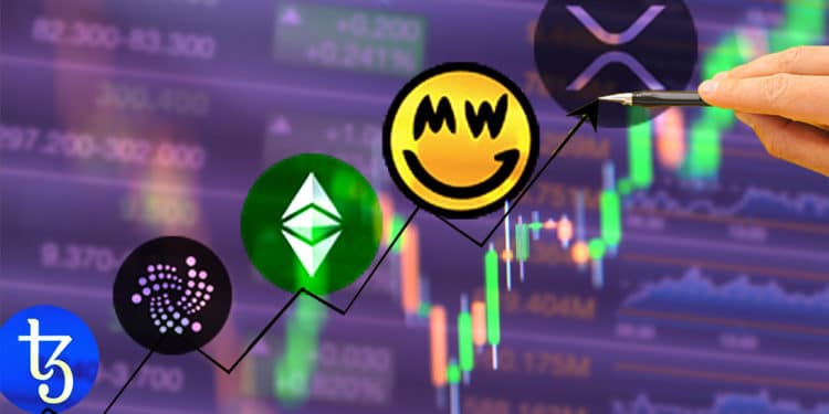 rendimiento criptomonedas ripple grin ethereum classic iota tezos