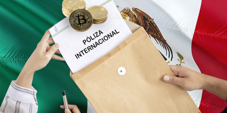 opción empresarios bitcoiners bitcoin