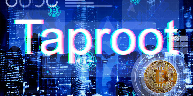 prueba activación taproot red bitcoin nodos mineros usuarios