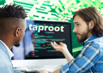 taproot programador