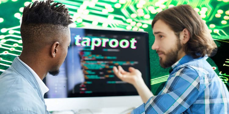 taproot programador