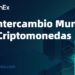 Exchange CoinEx para el trading mundial de criptomonedas