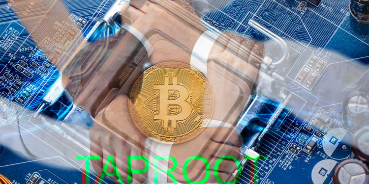 bitcoin manos entrelazadas taproot