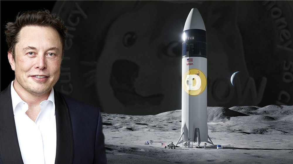 dogecoin luna cohete spacex elon musk