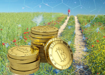 bitcoin red hombre camino