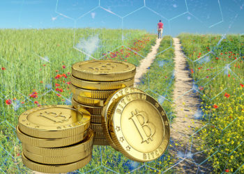 bitcoin red hombre camino