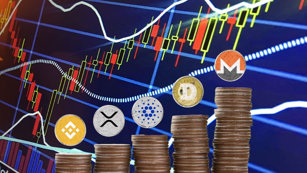 Gráfico y pila de monedas: monero, dogecoin, cardano XRP, binance. Composición por CriptoNoticias Fuentes:  Jcomp  /  elements.envato.com  ;  twenty20photos  /  elements.envato.com  ; cryptologos /  cryptologos.cc .