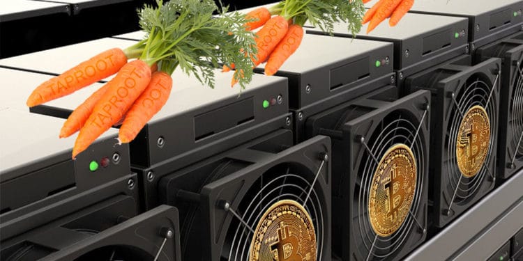 Mineros ASIC son zanahorias que representan Taproot y bitcoins.