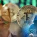 Bitcoins Elon Musk y hacker.