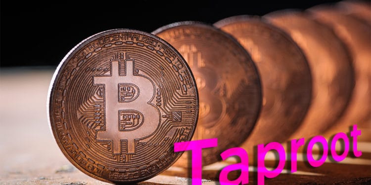 proyectos esperan actiación taproot blockchain bitcoin