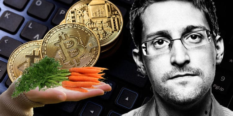 Bitcoins sobre teclado mano sosteniendo zanahorias que representan taproot y retrato de Snowden.
