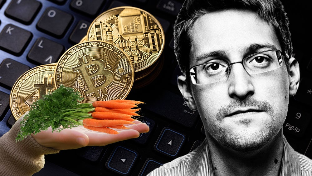 Bitcoins sobre teclado mano sosteniendo zanahorias que representan taproot y retrato de Snowden.