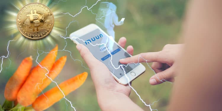 Teléfono con app de Muun, logo y astronauta holográfico, Bitcoin irradiando relámpagos que representan Lightning y zanahorias que representan Taproot.