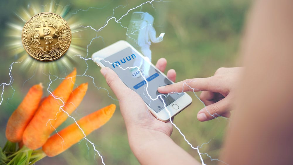 Teléfono con app de Muun, logo y astronauta holográfico, Bitcoin irradiando relámpagos que representan Lightning y zanahorias que representan Taproot.