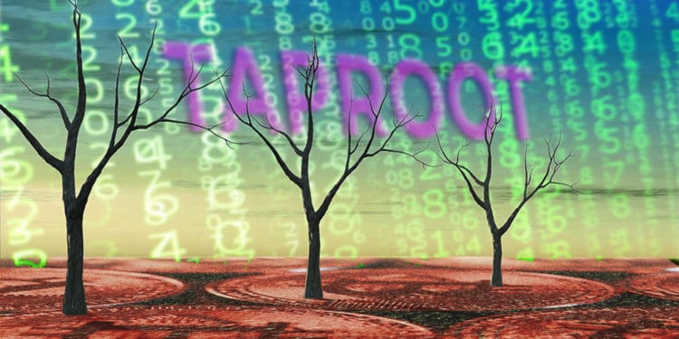 activación speedy trial taproot bitcoin