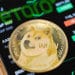 eToro exchange lista dogecoin aumento precio capitalización