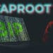 bip taprott privacidad bitcoin