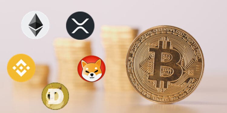 Bitcoin y altcoins.