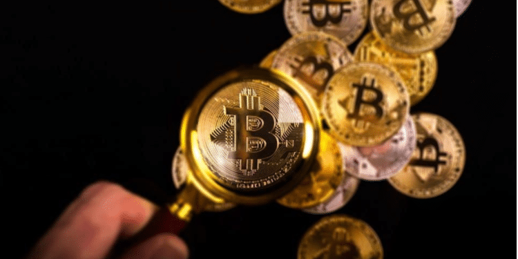 bitcoin lupa