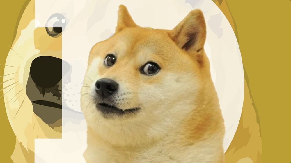 Dogecoin y Kabosu.