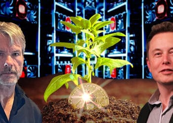 consejo minería bitcoinelon musk michael saylor