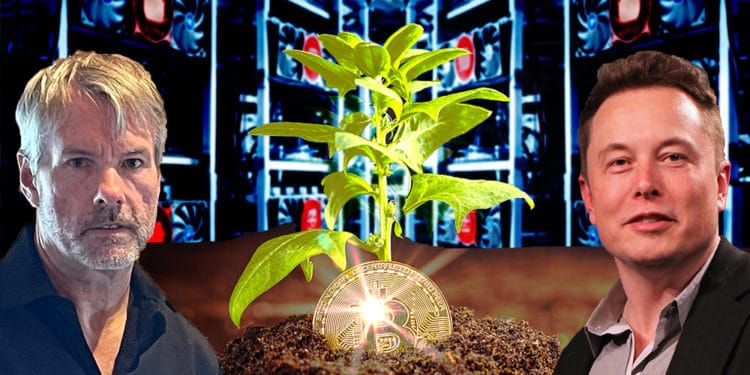 consejo minería bitcoinelon musk michael saylor