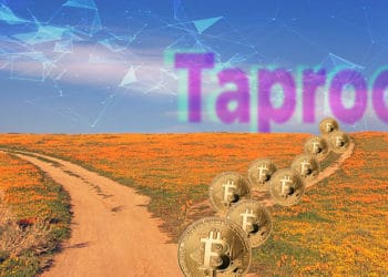 mineros bitcoin apoyan activación taproot blockchain bitcoin