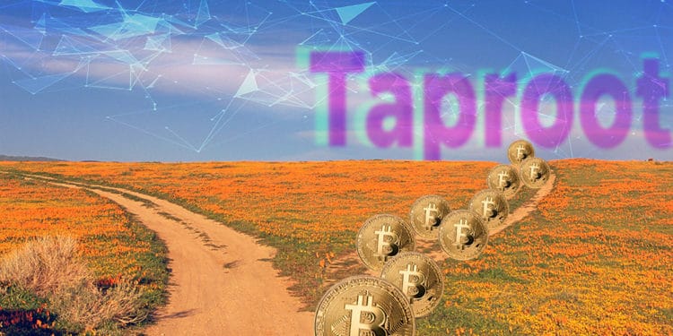 mineros bitcoin apoyan activación taproot blockchain bitcoin