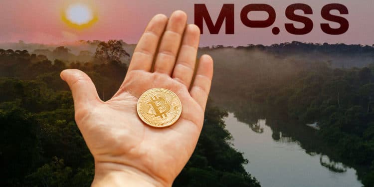 El fondo de cobertura One River, se unió con la plataforma de crédito de carbono MOOS, para solicitar un ETF de bitcoin. Composición por CriptoNoticias Fuentes:  Sonyachny  /  elements.envato.com  ;  moss.earth .