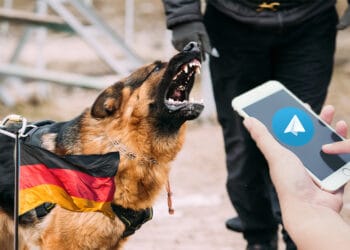 Perro alemán y Telegram.