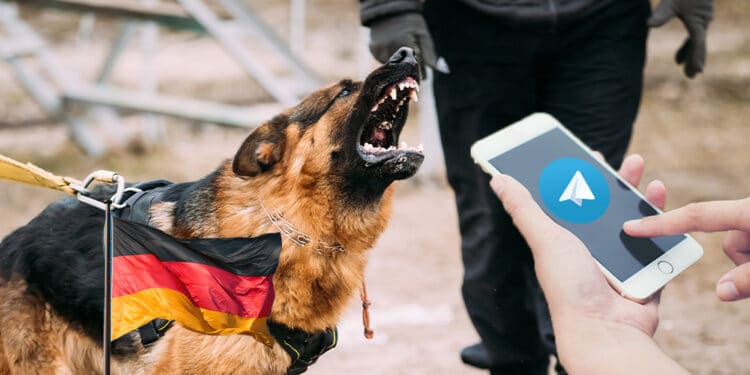 Perro alemán y Telegram.