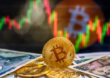 tendencias determinan precio bitcoin mercado criptomonedas