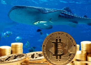 Pilas de bitcoins y ballena al fondo.
