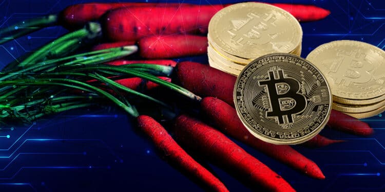Taproot y btc.