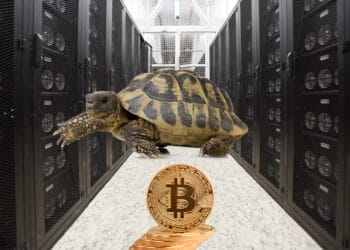 Granja de btc con tortuga representando lentitud.