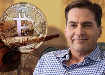 craig wright libro blanco bitcoin