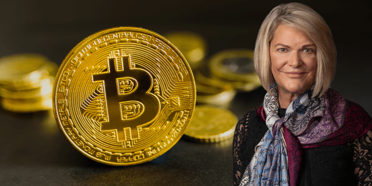 Senadora Lummis con bitcoin.