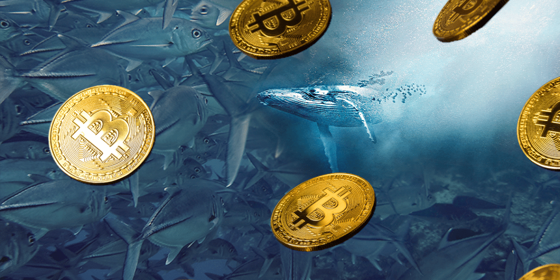 kaip bitkoinas veikia investicinius bankus
