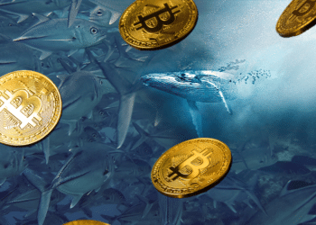 Bellena entre peces y btc.