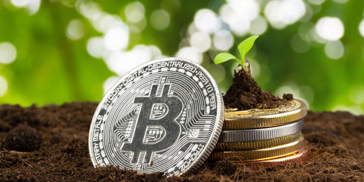 rentabilidad minería bitcoin trading mercado bitcoin